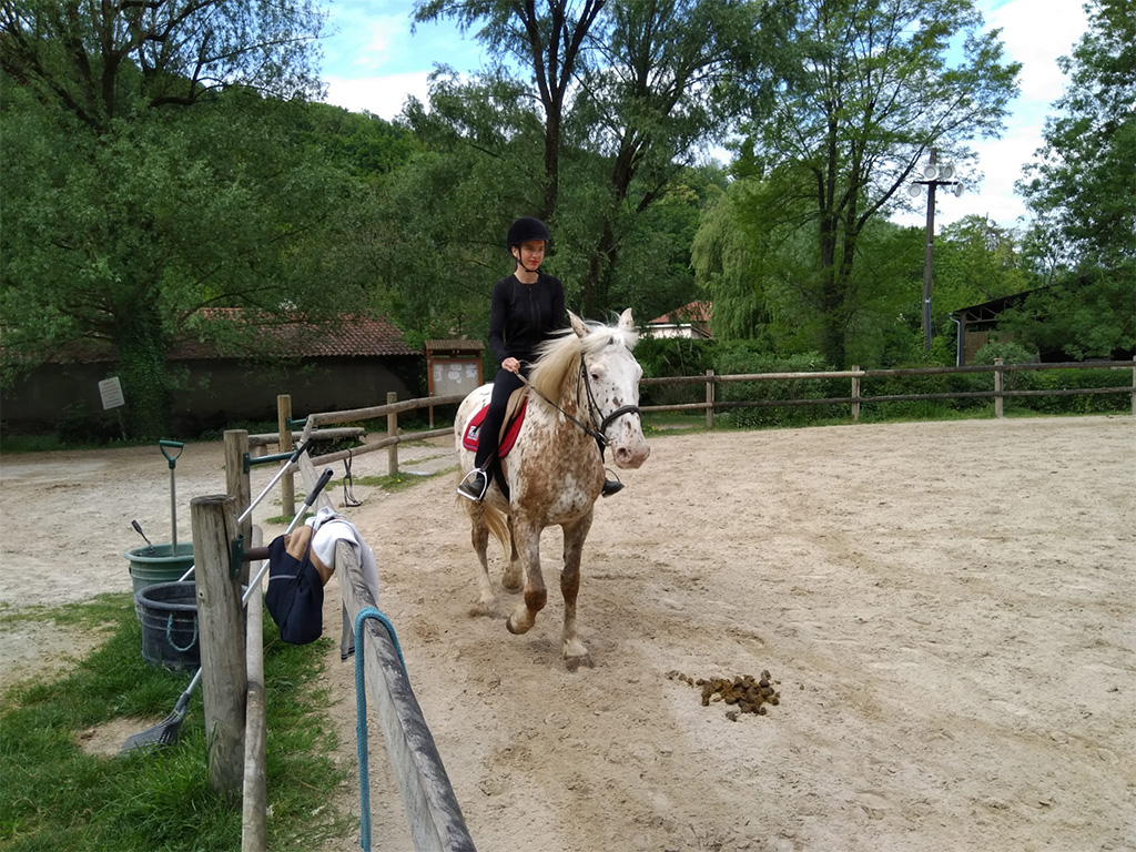 Cavalière dans une carrière