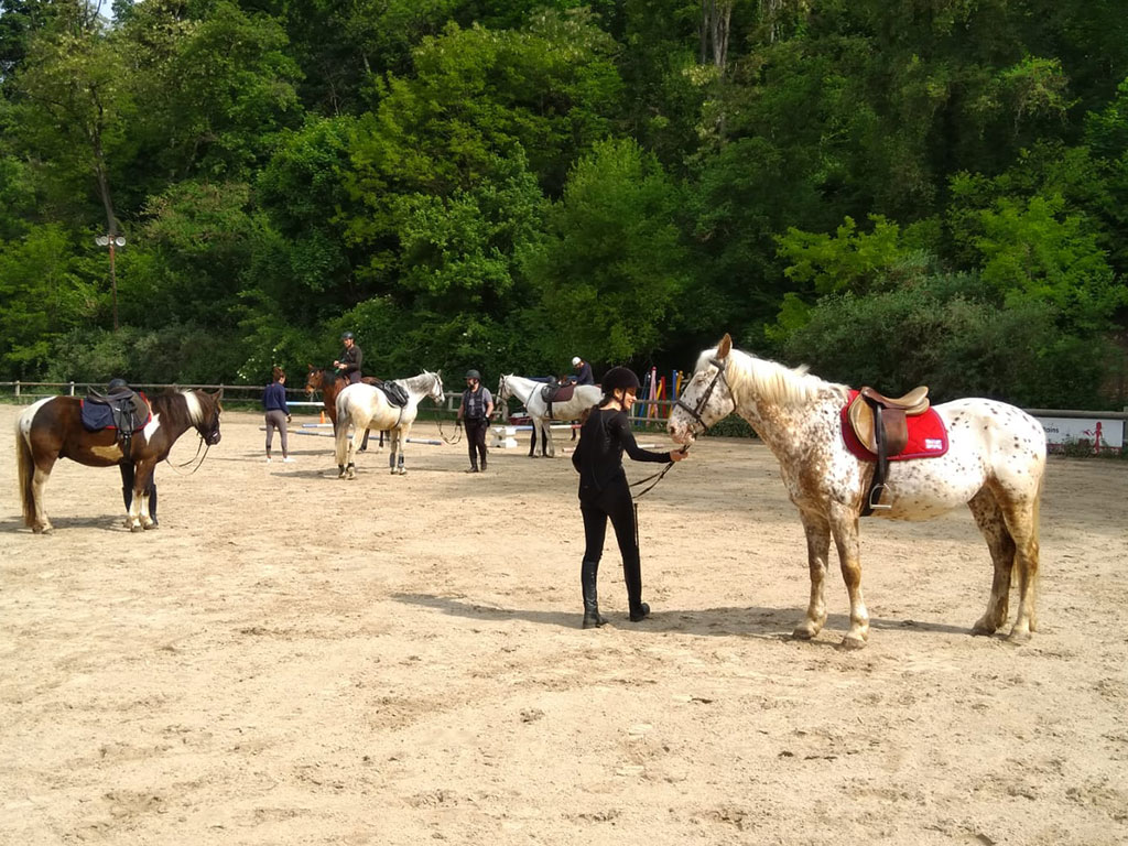 Cavaliers dans une carrère
