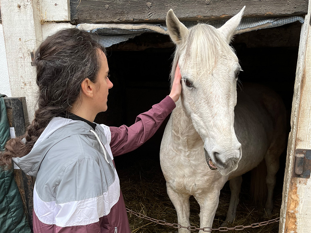 Cheval gris et sa cavalière