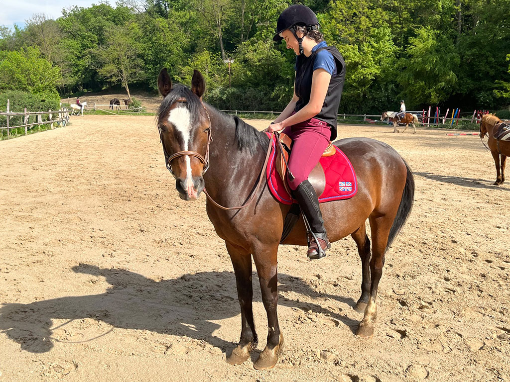 Cavalière sur cheval bai