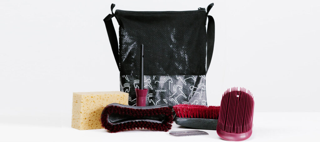 Trousse de pansage