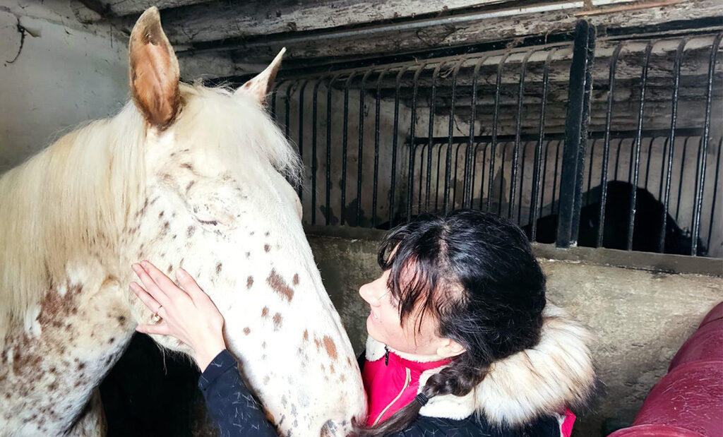 Les mots propres à l’équitation : un langage à part entière
