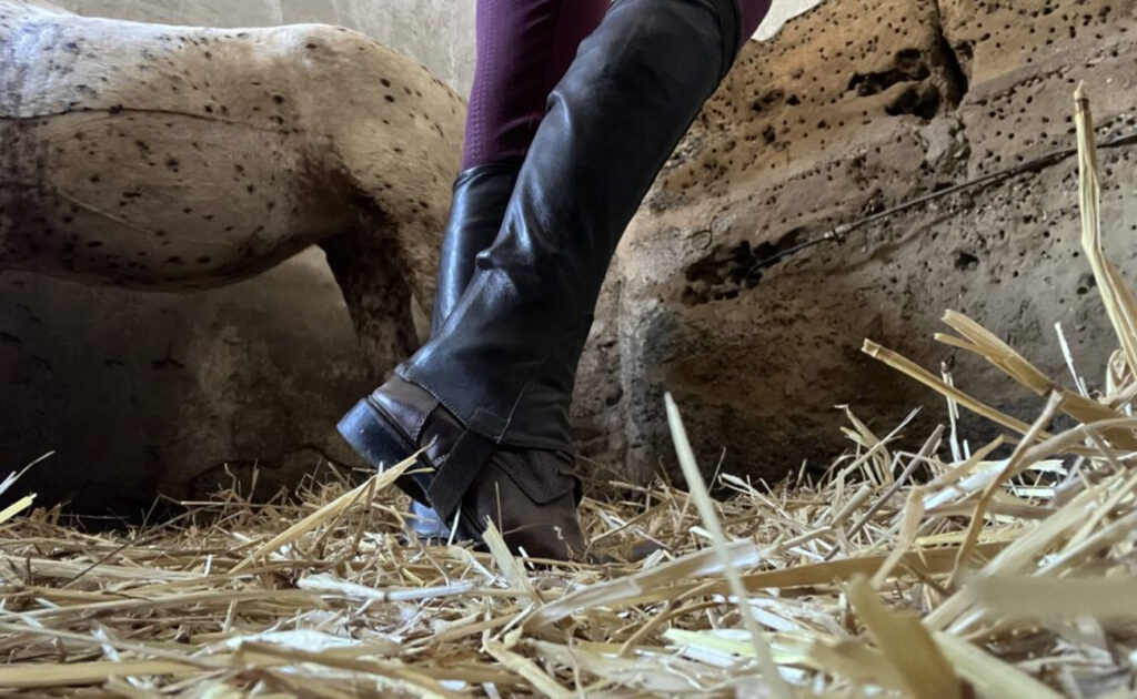 Mini chaps en cuir