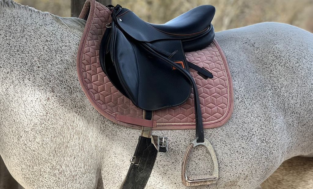 Quelles sont les différentes parties de la selle ?