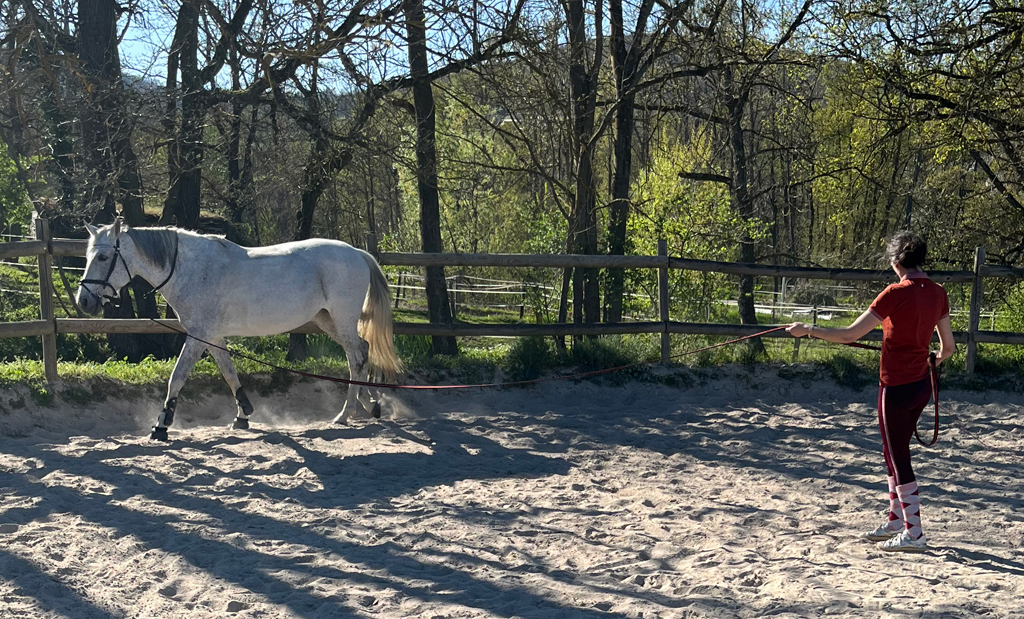 Qu’est-ce qu’une séance de longe ?