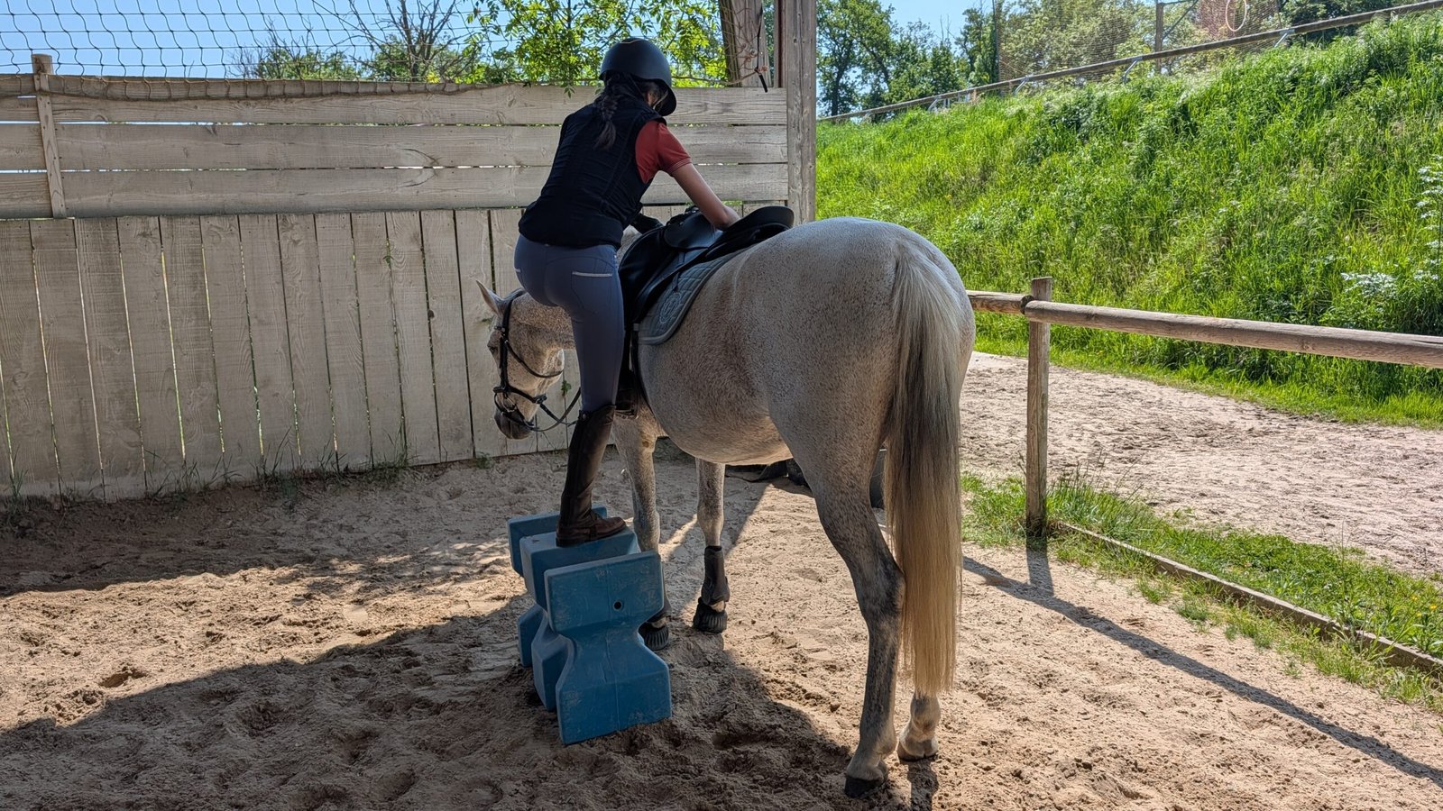 Cavalière qui monte à cheval
