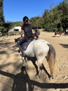 Cécile sur Gewurzt