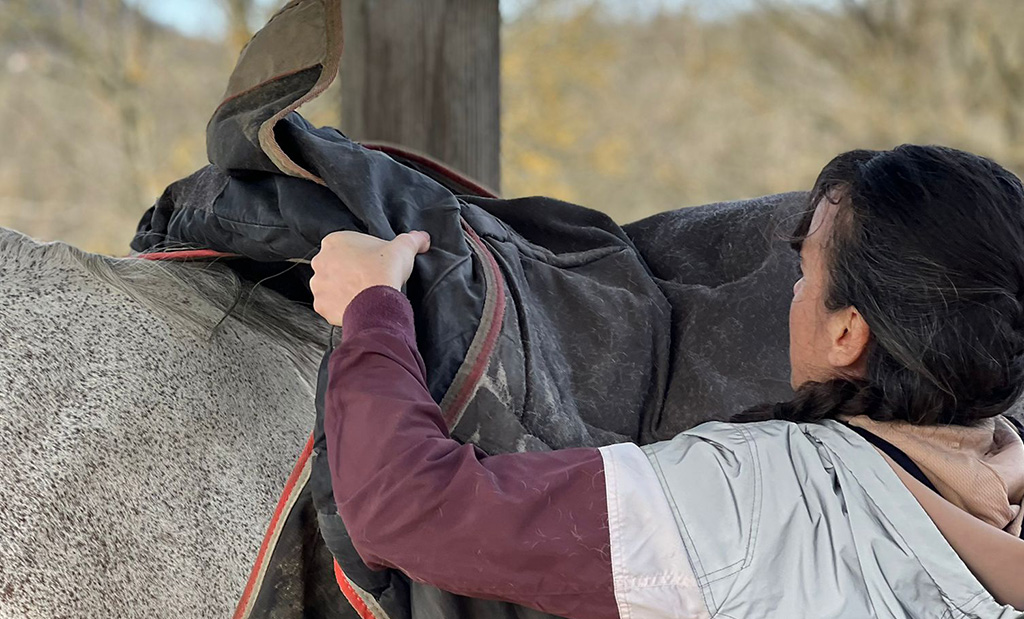 Verde et sa couverture