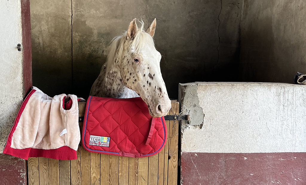 Cocaine et son tapis rouge