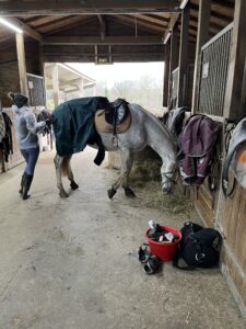 Verde, Cécile et la trousse de pansage
