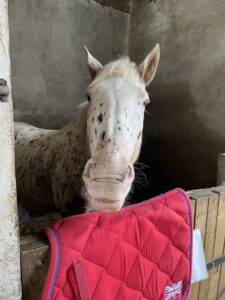 Cocaine et son tapis rouge