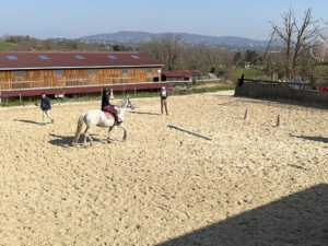 Abord d'un obstacle au trot