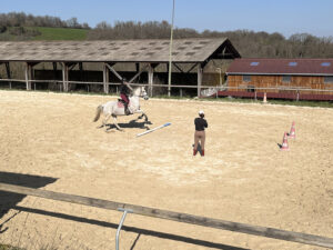 Abord d'un obstacle au galop