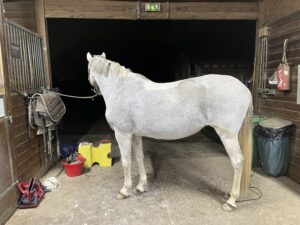 Verde après la tonte