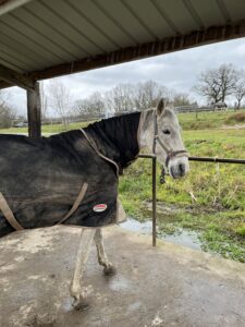 Verde avec sa couverture d'hiver