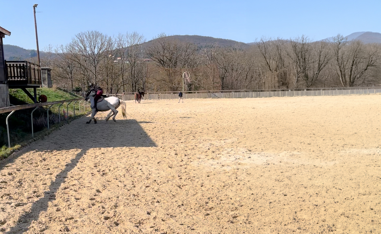 Faut-il-avoir-peur-de-tomber-a-cheval-1