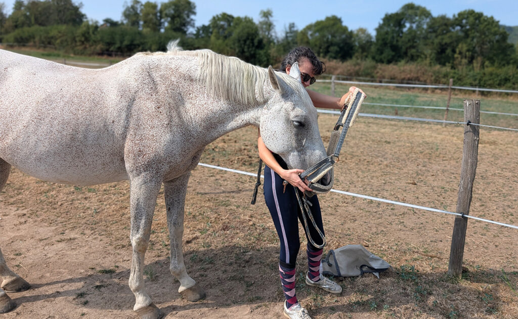 Cavalière qui met un licol à sa jument