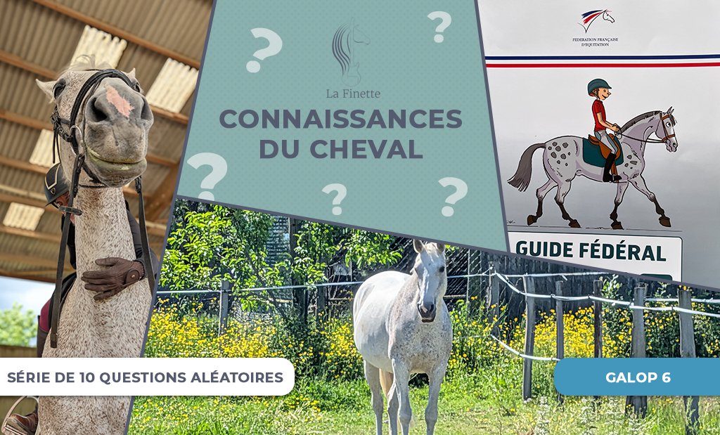 connaissances_cheval_galop6