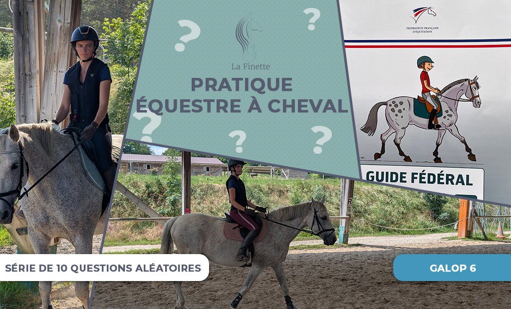 pratique_equestre_a_cheval_galop6
