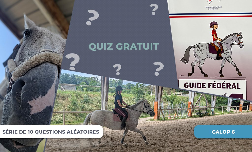 quiz_gratuit_galop6