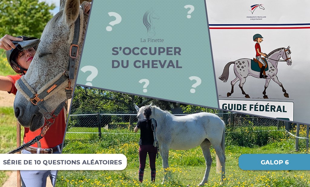 soccuper_cheval_galop6