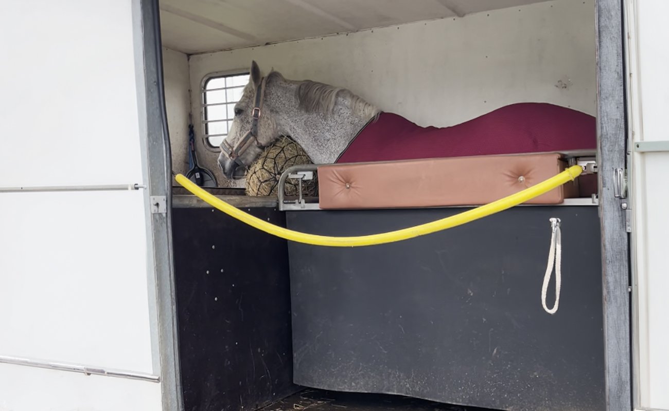 44-Comment-transporter-son-cheval_header