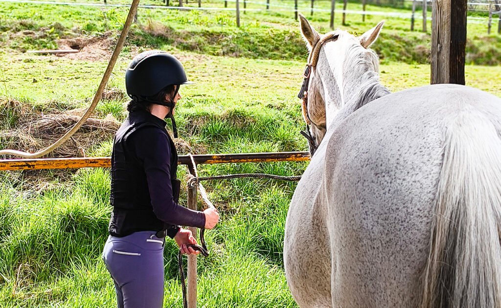 Faire un noeud d'attache pour cheval