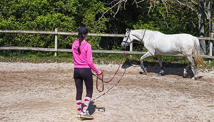 hero_page_galop5_01